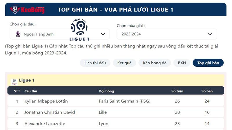 Top ghi bàn - Vua phá lưới Ligue 1