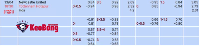 tỷ lệ kèo Newcastle vs Tottenham